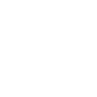 logo lena custom design